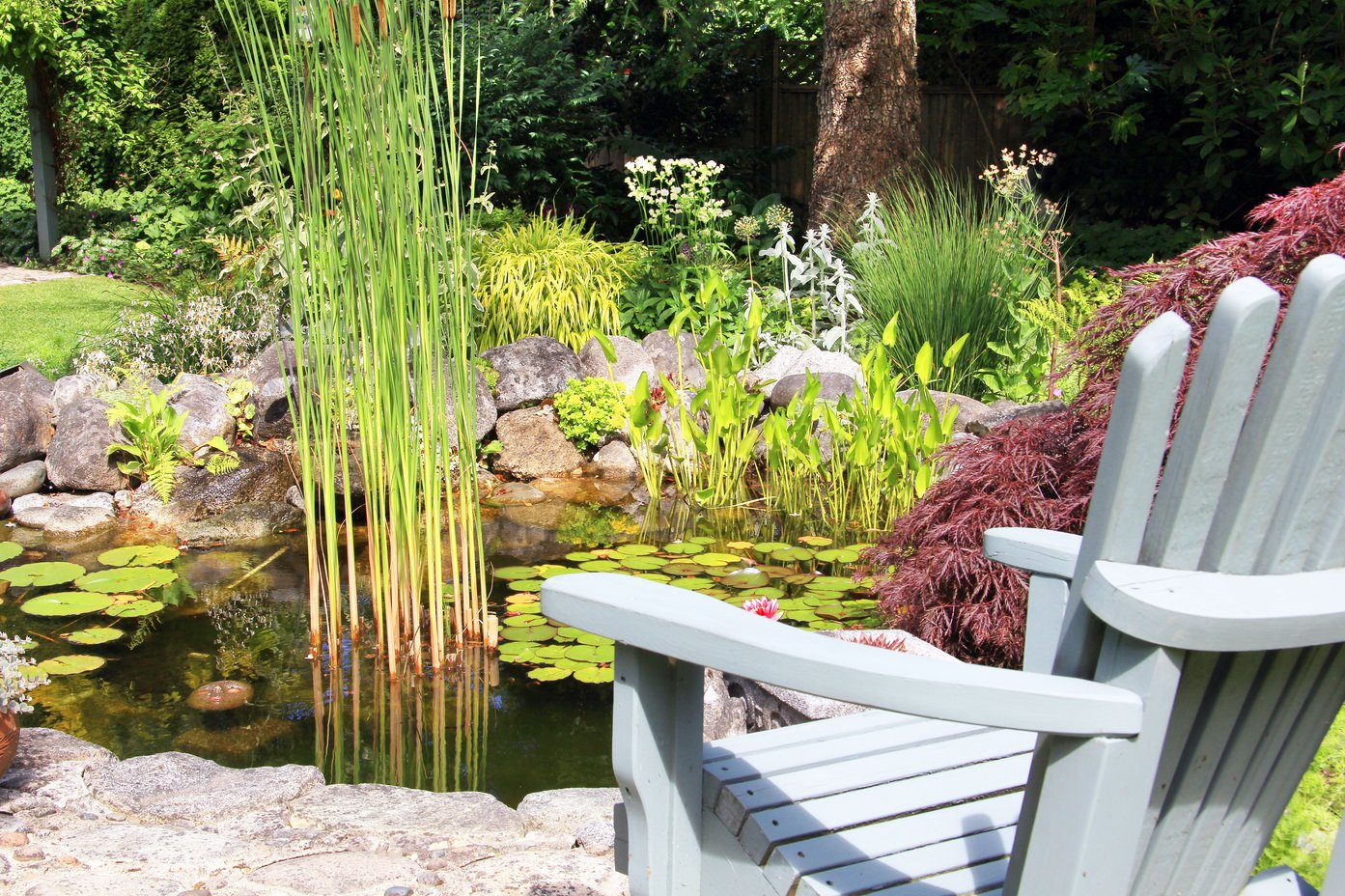 What is a Natural Pool? Filtration, Costs, and Pros and Cons